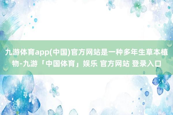 九游体育app(中国)官方网站是一种多年生草本植物-九游「中国体育」娱乐 官方网站 登录入口